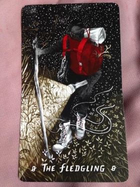 #0 The Fledgling.jpg