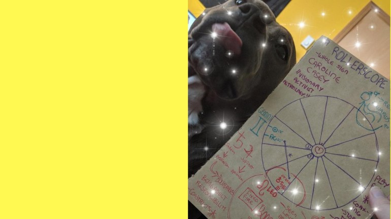 Untitled design 2.jpg